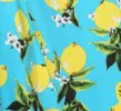 Lemon Print Swing Dress - Image 9