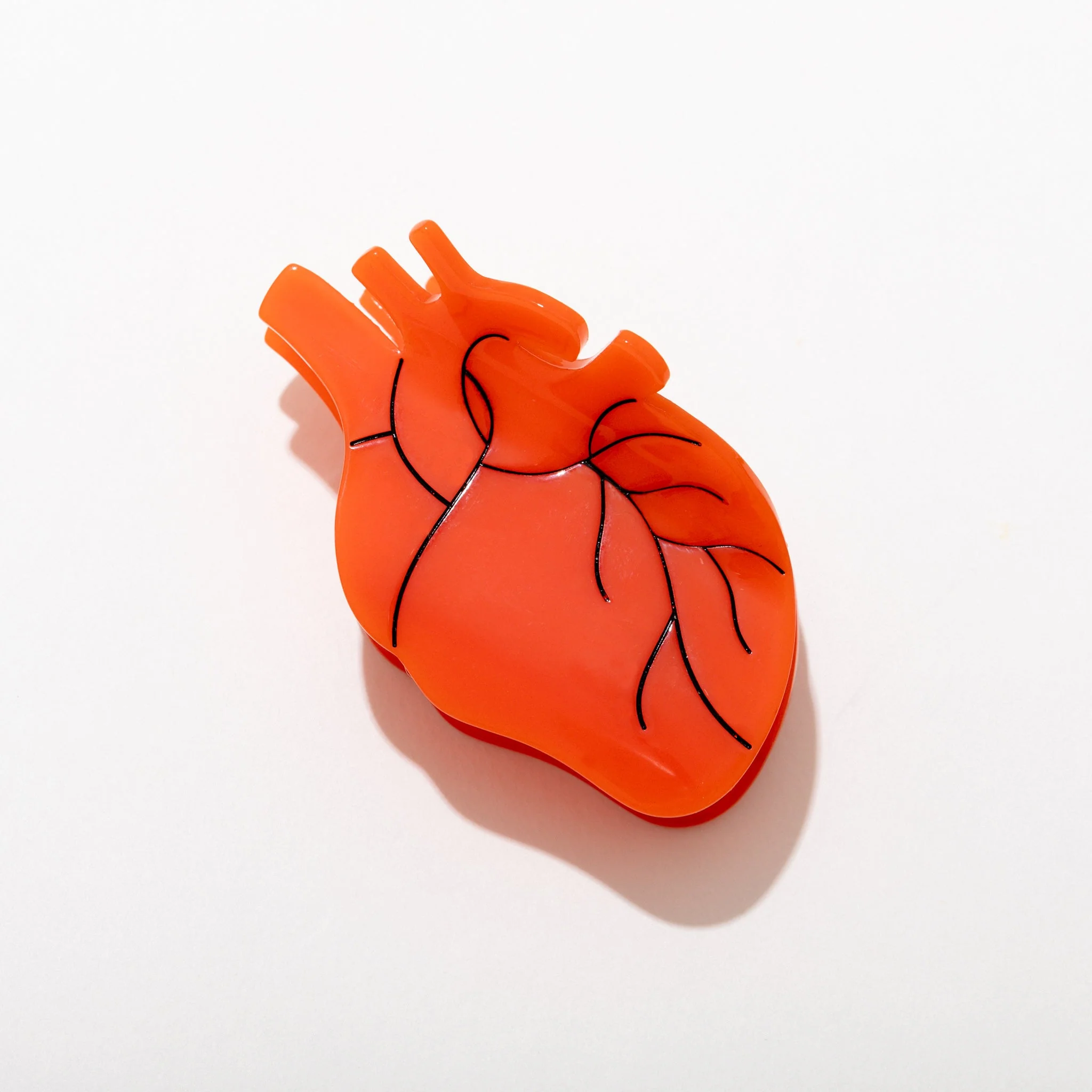 Anatomical Heart Hair Claw - Image 2