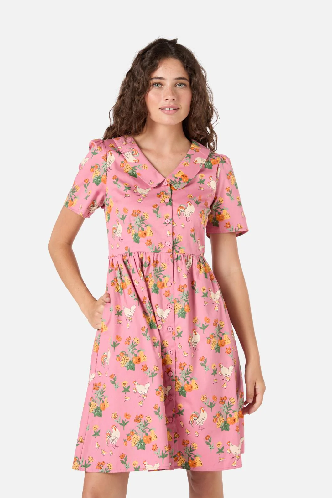 Chickens Mini Shirt Dress - Image 5