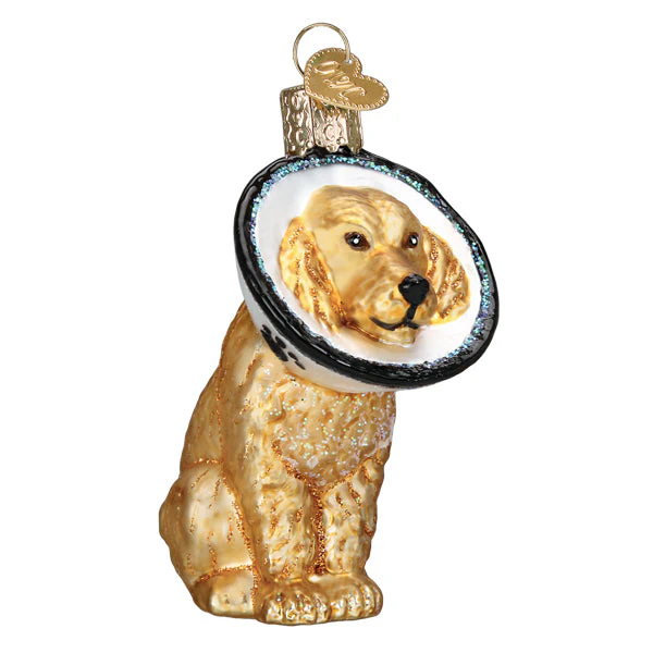 Cone Of Shame Dog Ornament - Image 4