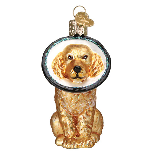 Cone Of Shame Dog Ornament - Image 5