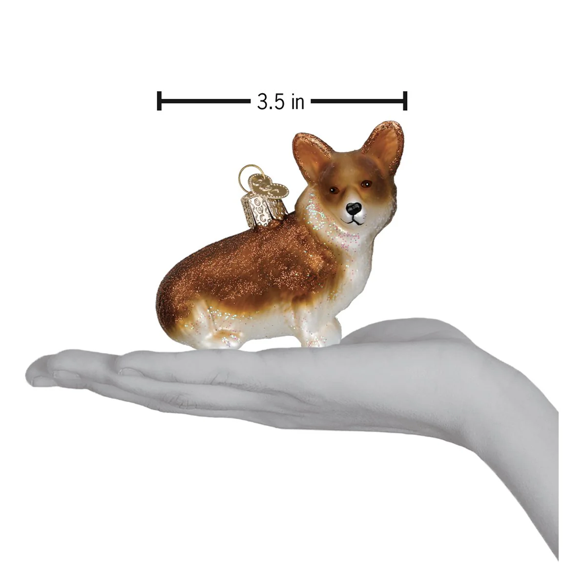 Pembroke Welsh Corgi - Image 5