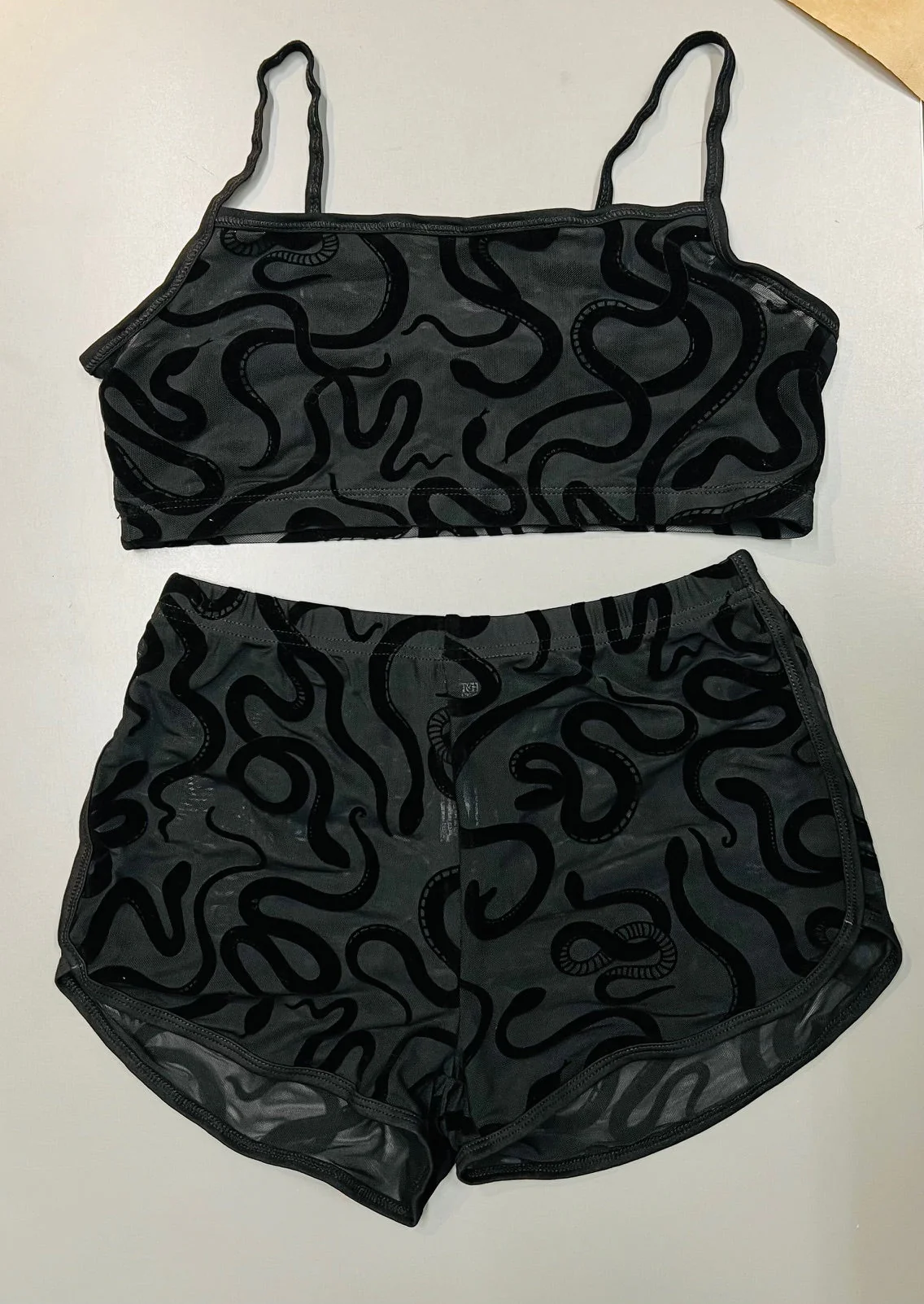 The Sinister Set - SNAKES - Sheer Velvet Flocked Bra & Shorts Separates - Image 4